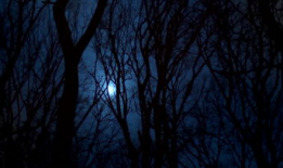 黑夜视频,揭秘视频背后的故事